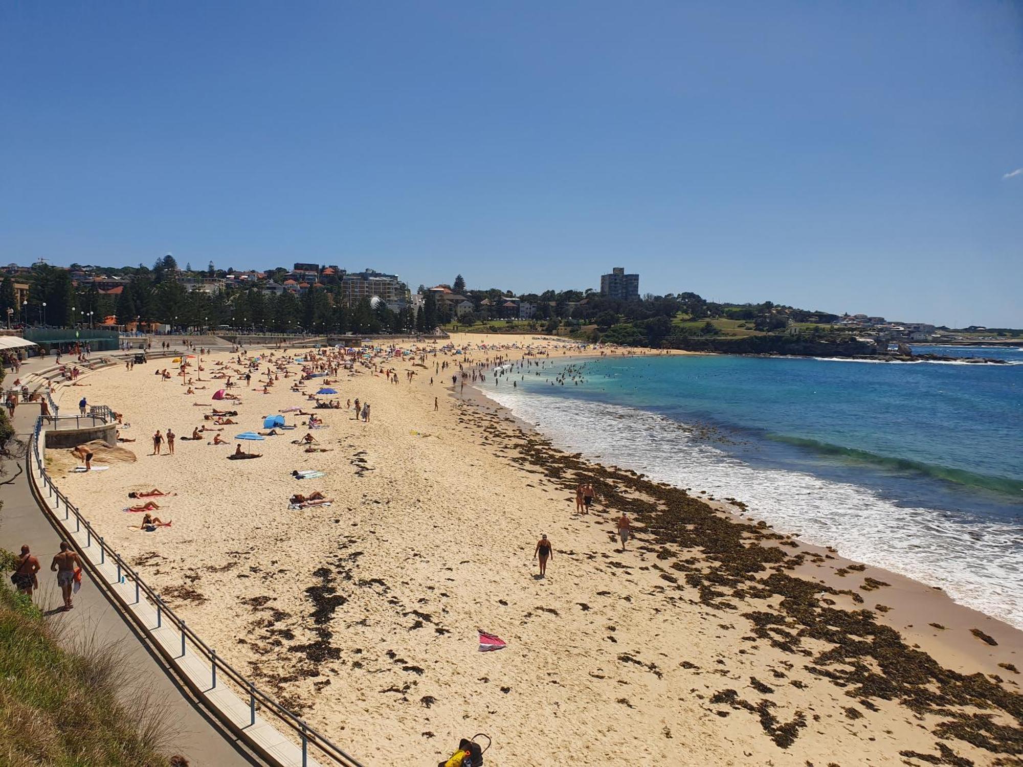 Podbed Coogee Beachside Σίδνεϊ Εξωτερικό φωτογραφία